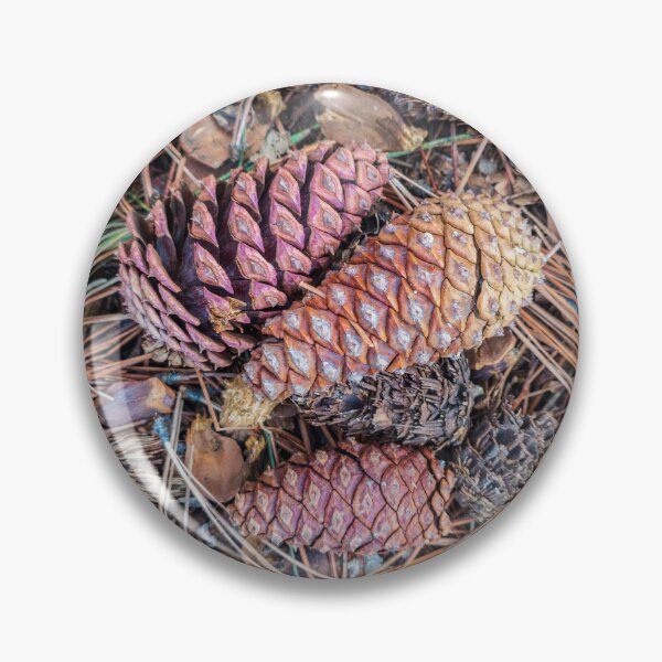 Item preview, Multicolored Pinecones Source Picture designed and sold by Kaleidobioscope.