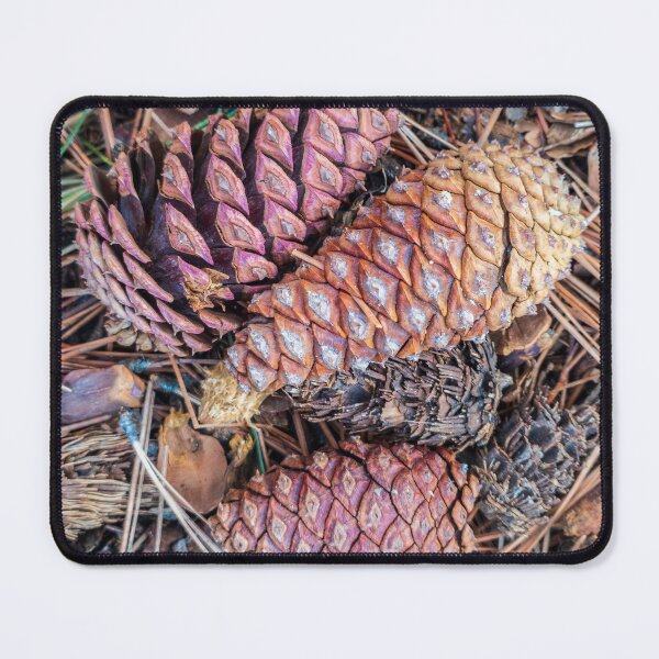 Item preview, Multicolored Pinecones Source Picture designed and sold by Kaleidobioscope.