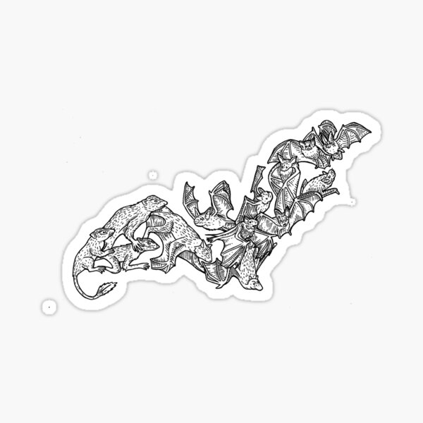 Chiroptera - Bats - Evolution Sticker