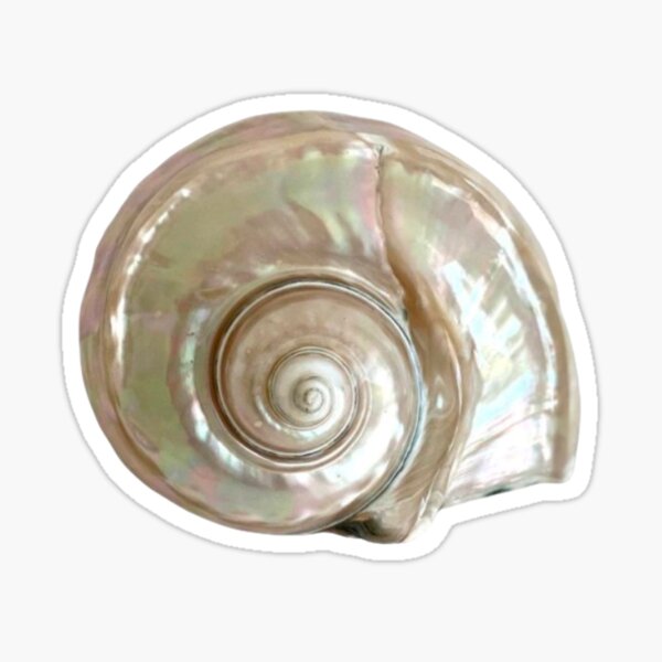 Item preview, Shell designed and sold by goldenstyles-.