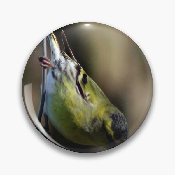 Item preview, siskin designed and sold by KathleenDawson.