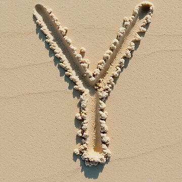 Artwork thumbnail, SAND LETTER Y by ART-TYPE