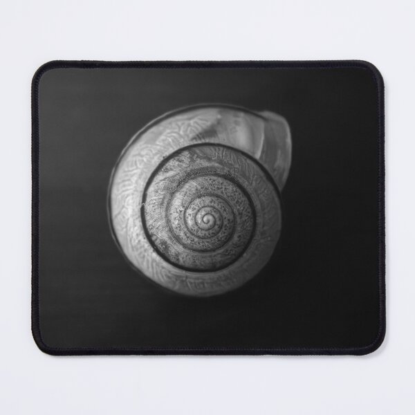 Item preview, Snail Shell designed and sold by robdwildlife.