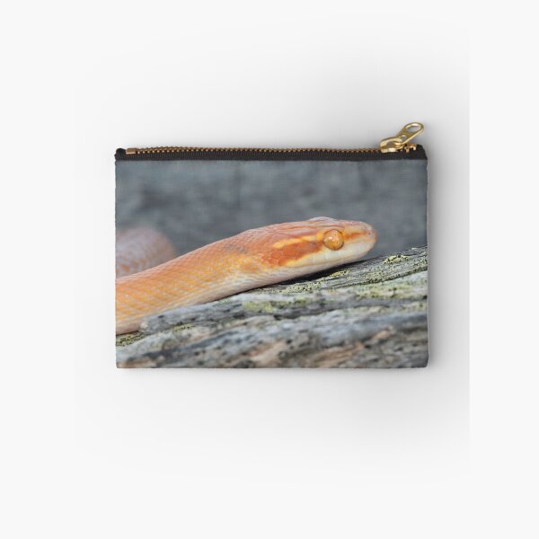 Item preview, Bug-Eyed House Snake (Boaedon mentalis) designed and sold by Pixel Press Prints.