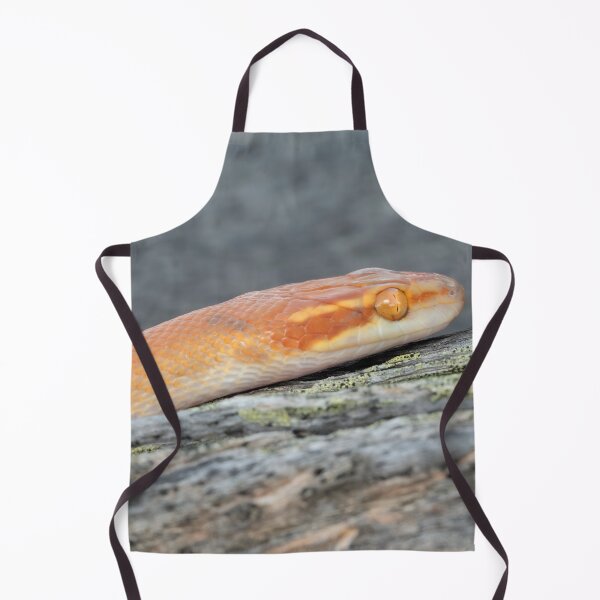 Item preview, Bug-Eyed House Snake (Boaedon mentalis) designed and sold by Pixel Press Prints.