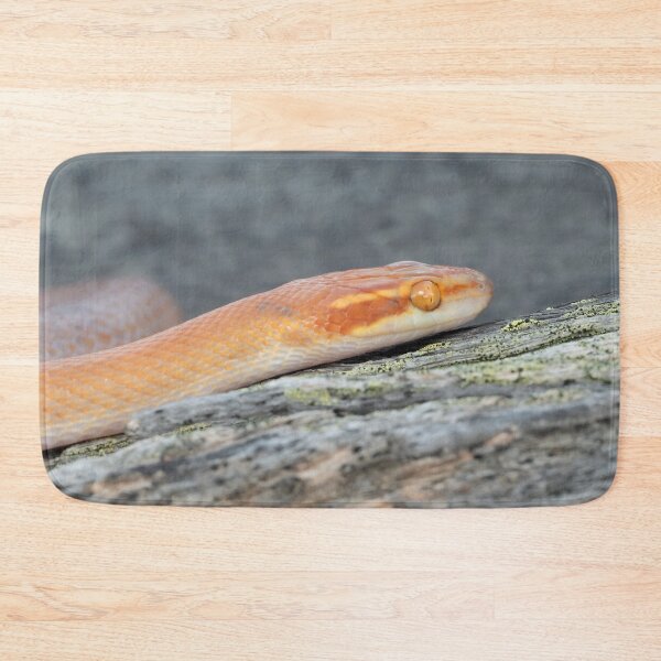 Item preview, Bug-Eyed House Snake (Boaedon mentalis) designed and sold by Pixel Press Prints.
