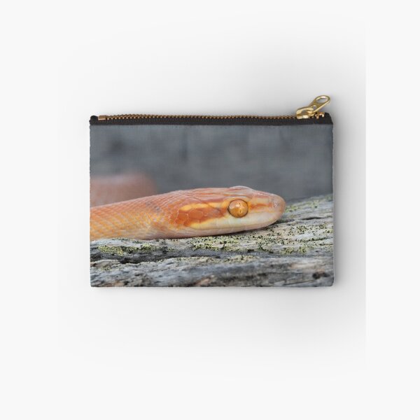 Item preview, Bug-Eyed House Snake (Boaedon mentalis) designed and sold by Pixel Press Prints.