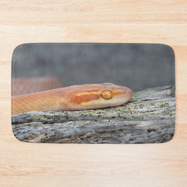 Item preview, Bug-Eyed House Snake (Boaedon mentalis) designed and sold by Pixel Press Prints.