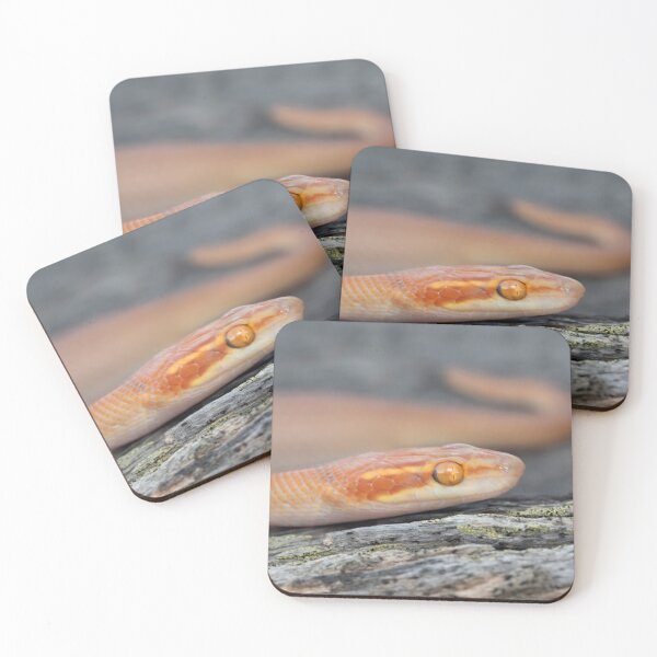 Item preview, Bug-Eyed House Snake (Boaedon mentalis) designed and sold by Pixel Press Prints.