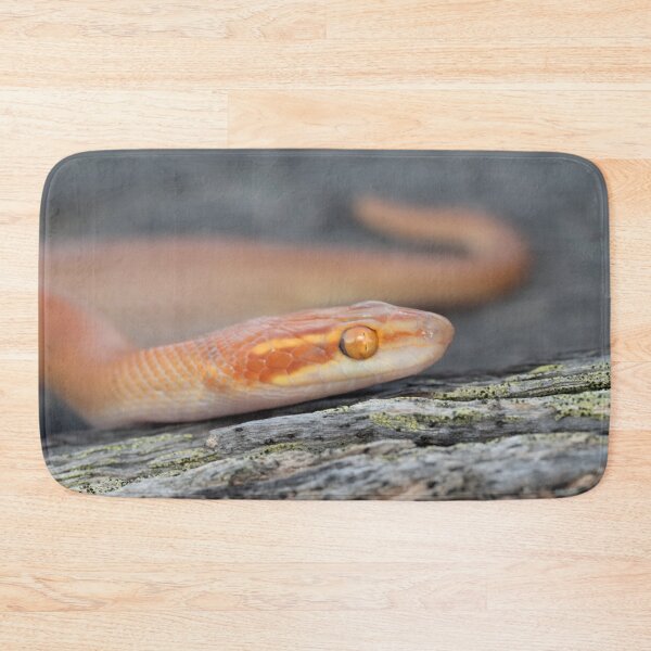 Item preview, Bug-Eyed House Snake (Boaedon mentalis) designed and sold by Pixel Press Prints.