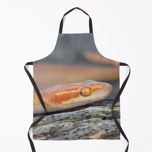 Item preview, Bug-Eyed House Snake (Boaedon mentalis) designed and sold by Pixel Press Prints.