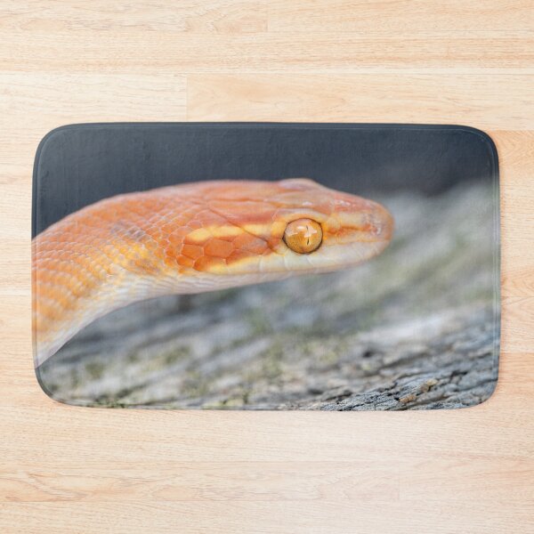 Item preview, Bug-Eyed House Snake (Boaedon mentalis) designed and sold by Pixel Press Prints.
