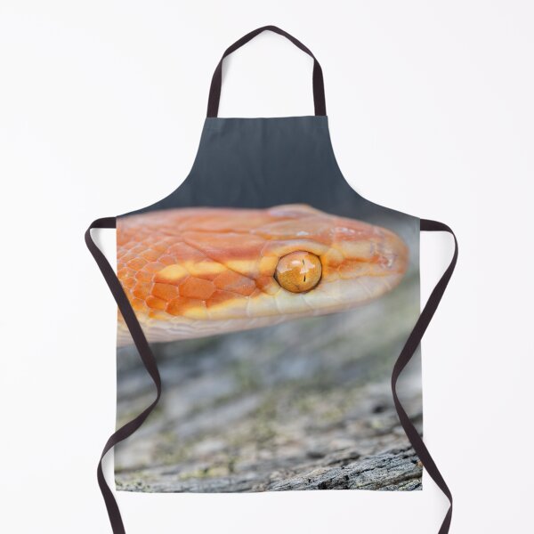 Item preview, Bug-Eyed House Snake (Boaedon mentalis) designed and sold by Pixel Press Prints.