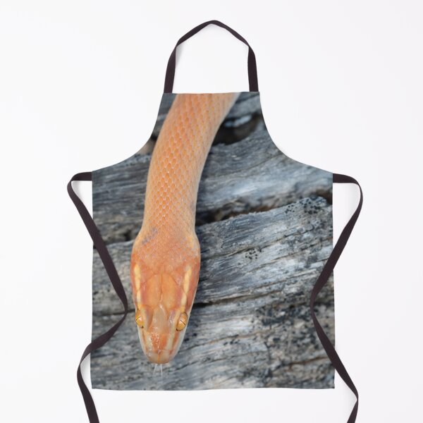 Item preview, Bug-Eyed House Snake (Boaedon mentalis) designed and sold by Pixel Press Prints.