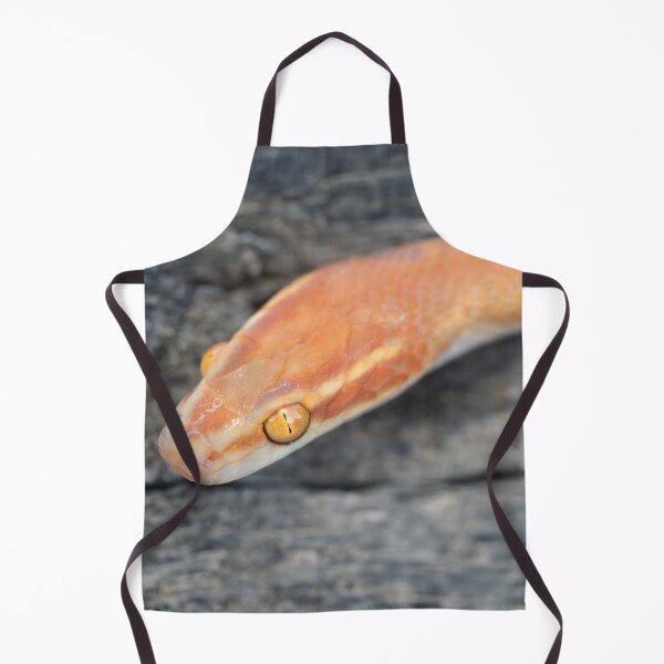 Item preview, Bug-Eyed House Snake (Boaedon mentalis) designed and sold by Pixel Press Prints.