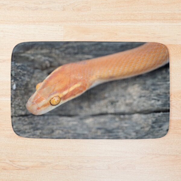 Item preview, Bug-Eyed House Snake (Boaedon mentalis) designed and sold by Pixel Press Prints.