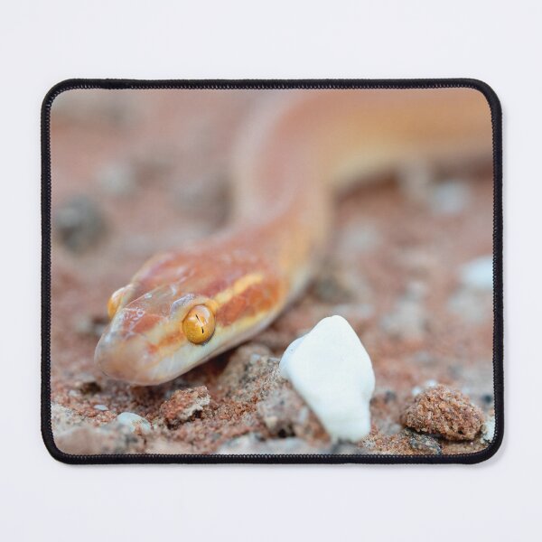 Item preview, Bug-Eyed House Snake (Boaedon mentalis) designed and sold by Pixel Press Prints.