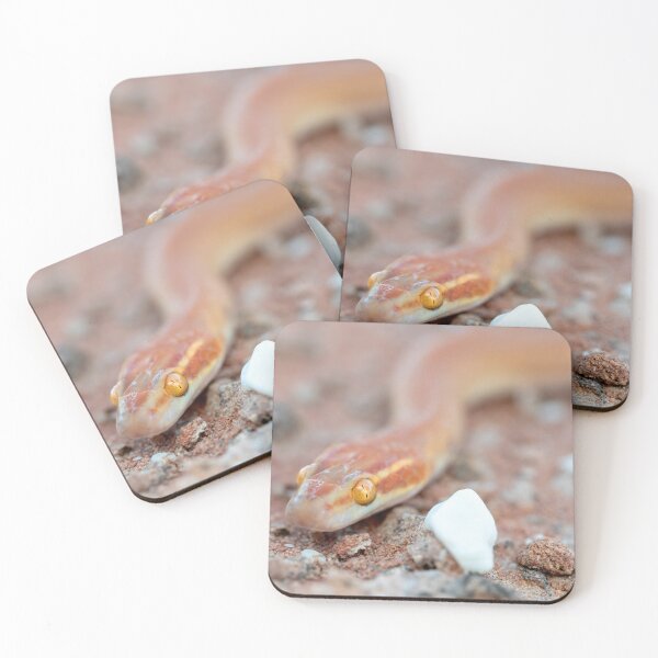 Item preview, Bug-Eyed House Snake (Boaedon mentalis) designed and sold by Pixel Press Prints.