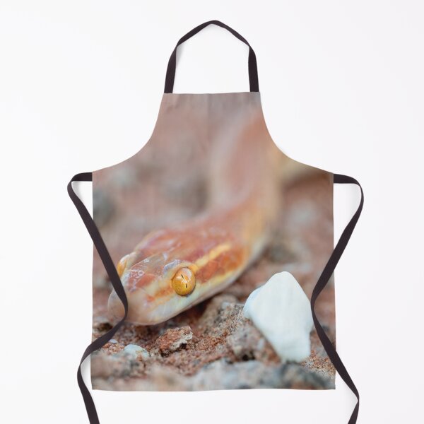 Item preview, Bug-Eyed House Snake (Boaedon mentalis) designed and sold by Pixel Press Prints.