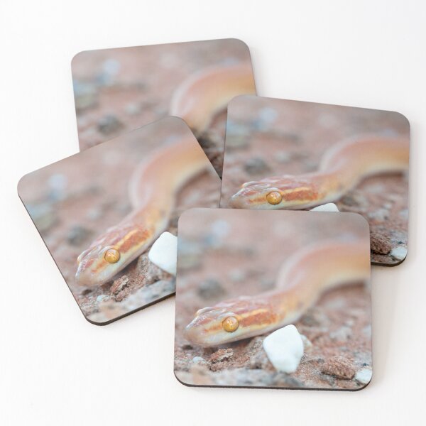 Item preview, Bug-Eyed House Snake (Boaedon mentalis) designed and sold by Pixel Press Prints.