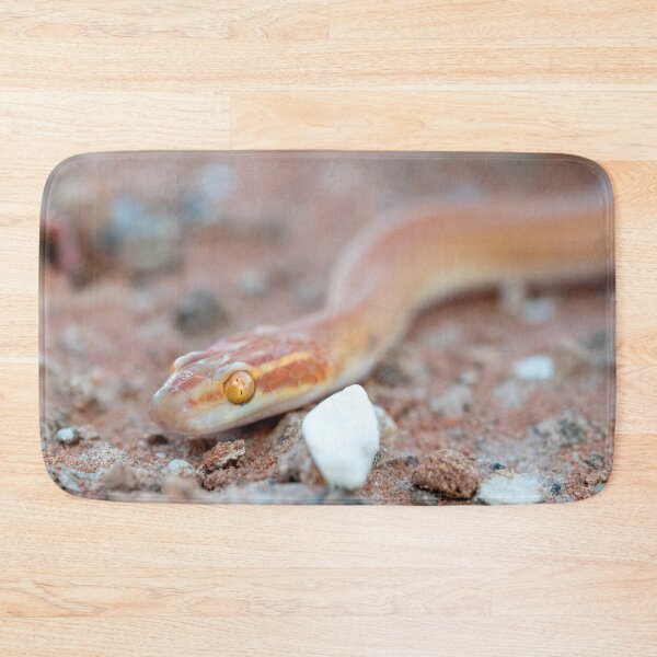 Item preview, Bug-Eyed House Snake (Boaedon mentalis) designed and sold by Pixel Press Prints.