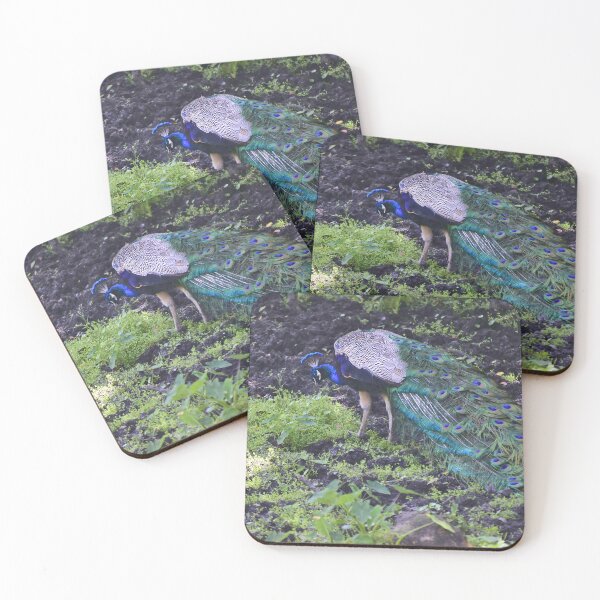Item preview, Peacock designed and sold by MercerImages.