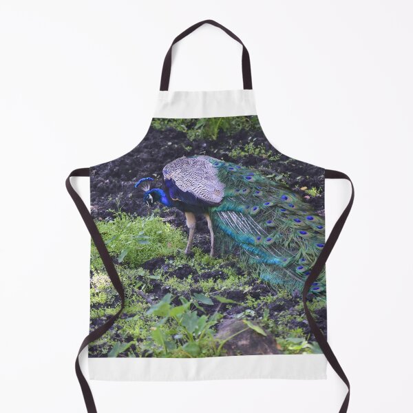 Item preview, Peacock designed and sold by MercerImages.