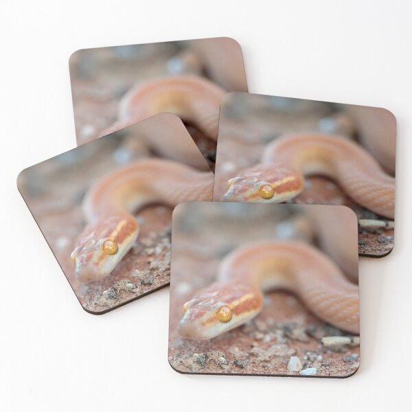 Item preview, Bug-Eyed House Snake (Boaedon mentalis) designed and sold by Pixel Press Prints.