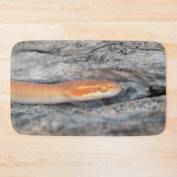 Item preview, Bug-Eyed House Snake (Boaedon mentalis) designed and sold by Pixel Press Prints.