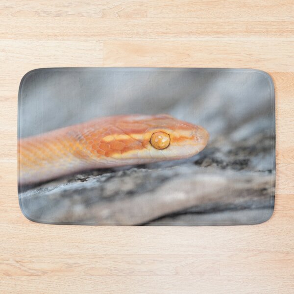 Item preview, Bug-Eyed House Snake (Boaedon mentalis) designed and sold by Pixel Press Prints.