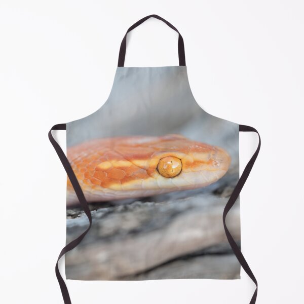 Item preview, Bug-Eyed House Snake (Boaedon mentalis) designed and sold by Pixel Press Prints.