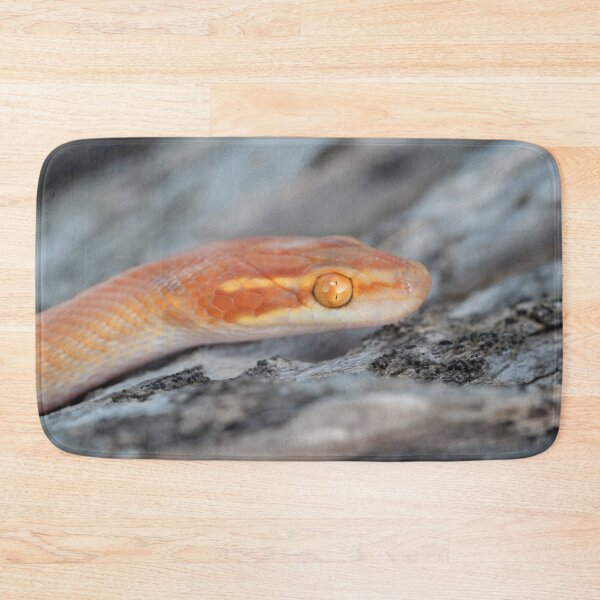 Item preview, Bug-Eyed House Snake (Boaedon mentalis) designed and sold by Pixel Press Prints.