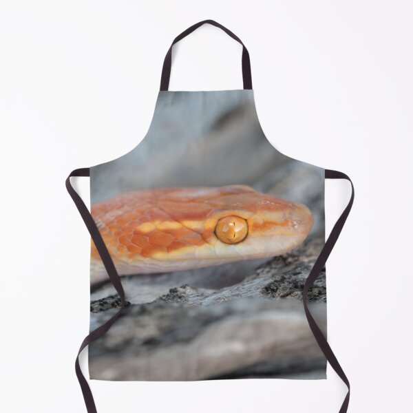 Item preview, Bug-Eyed House Snake (Boaedon mentalis) designed and sold by Pixel Press Prints.