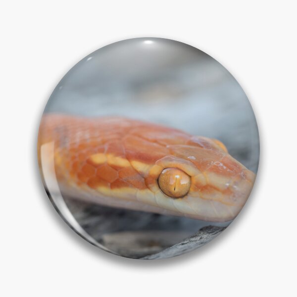 Item preview, Bug-Eyed House Snake (Boaedon mentalis) designed and sold by Pixel Press Prints.