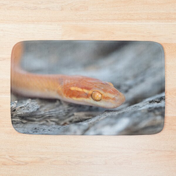 Item preview, Bug-Eyed House Snake (Boaedon mentalis) designed and sold by Pixel Press Prints.