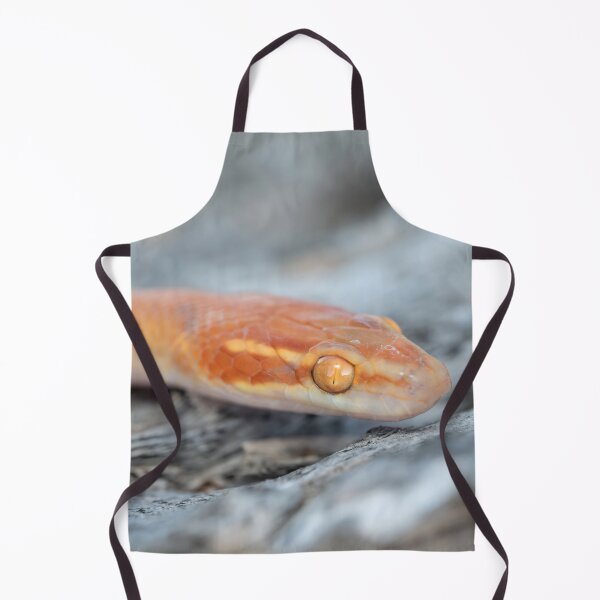 Item preview, Bug-Eyed House Snake (Boaedon mentalis) designed and sold by Pixel Press Prints.