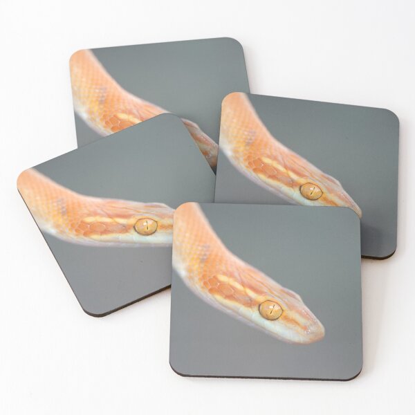 Item preview, Bug-Eyed House Snake (Boaedon mentalis) designed and sold by Pixel Press Prints.