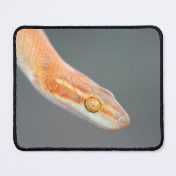 Item preview, Bug-Eyed House Snake (Boaedon mentalis) designed and sold by Pixel Press Prints.