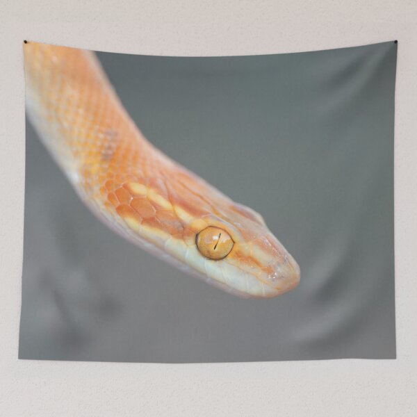Item preview, Bug-Eyed House Snake (Boaedon mentalis) designed and sold by Pixel Press Prints.