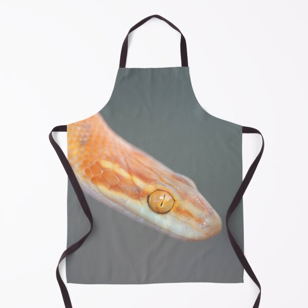 Item preview, Bug-Eyed House Snake (Boaedon mentalis) designed and sold by Pixel Press Prints.