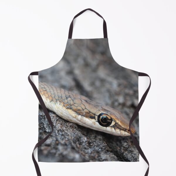 Item preview, Karoo Sand Snake (Psammophis notostictus) designed and sold by Pixel Press Prints.