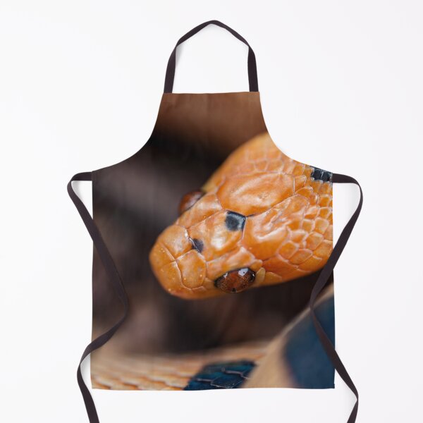 Item preview, Beetzi's Tiger Snake (Telescopus beetzi) designed and sold by Pixel Press Prints.