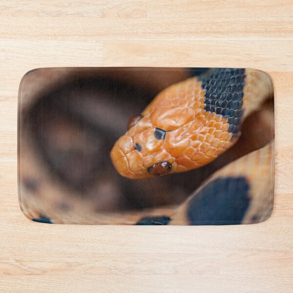 Item preview, Beetzi's Tiger Snake (Telescopus beetzi) designed and sold by Pixel Press Prints.