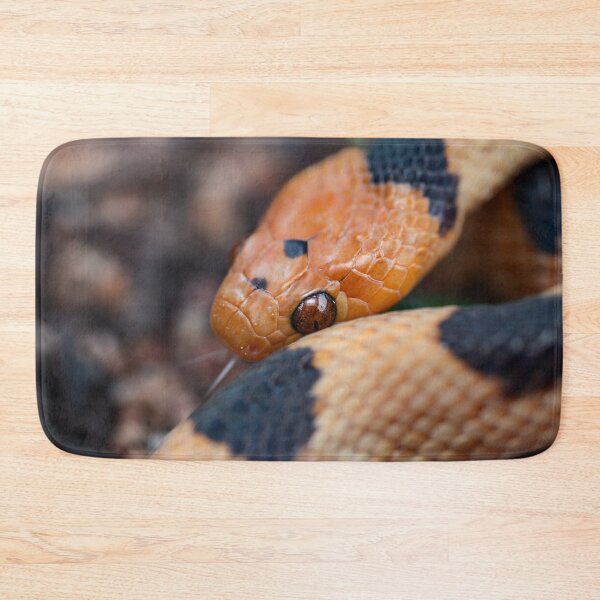 Item preview, Beetzi's Tiger Snake (Telescopus beetzi) designed and sold by Pixel Press Prints.
