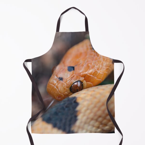 Item preview, Beetzi's Tiger Snake (Telescopus beetzi) designed and sold by Pixel Press Prints.
