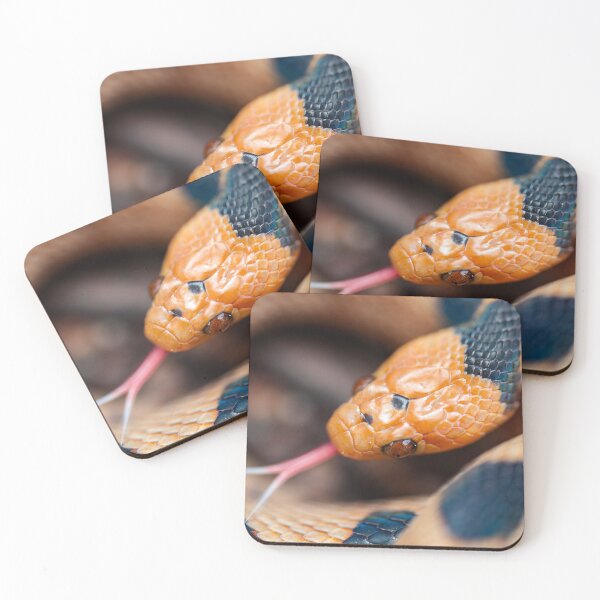 Item preview, Beetzi's Tiger Snake (Telescopus beetzi) designed and sold by Pixel Press Prints.