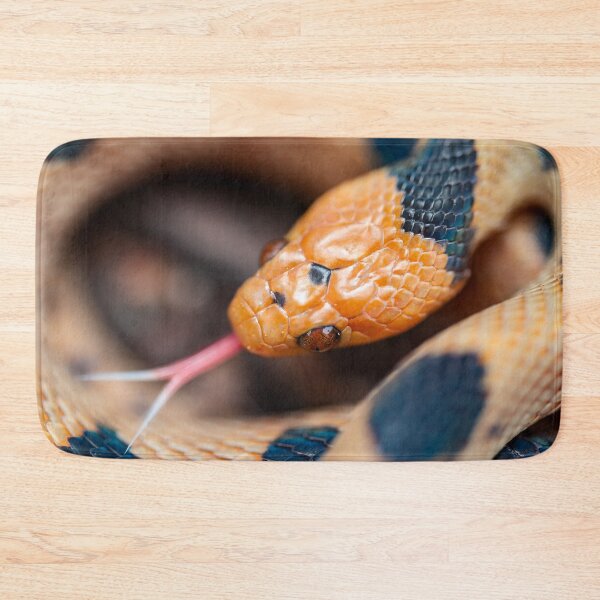 Item preview, Beetzi's Tiger Snake (Telescopus beetzi) designed and sold by Pixel Press Prints.