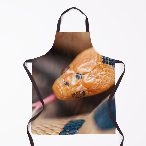 Item preview, Beetzi's Tiger Snake (Telescopus beetzi) designed and sold by Pixel Press Prints.