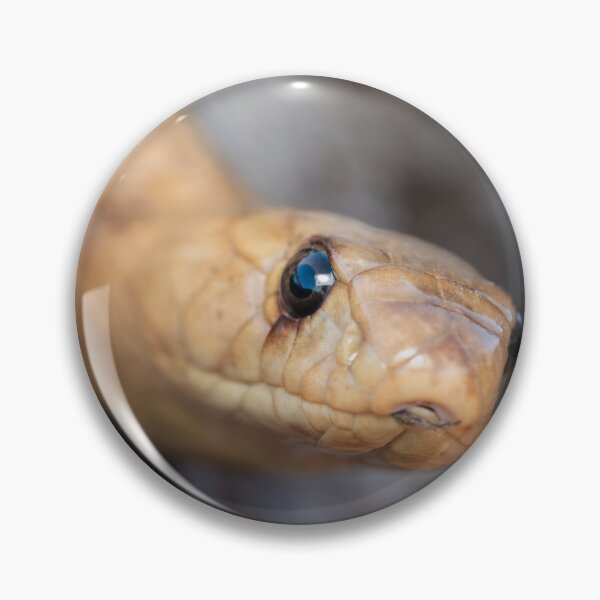 Item preview, Cape Cobra (Naja nivea) designed and sold by Pixel Press Prints.