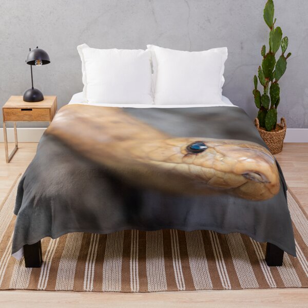 Item preview, Cape Cobra (Naja nivea) designed and sold by Pixel Press Prints.